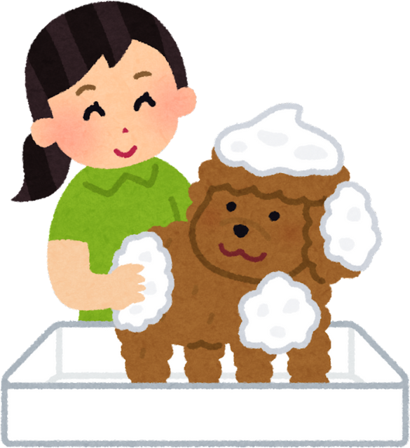 Illustration of a Female Groomer Giving a Dog a Bath with Bubbles
